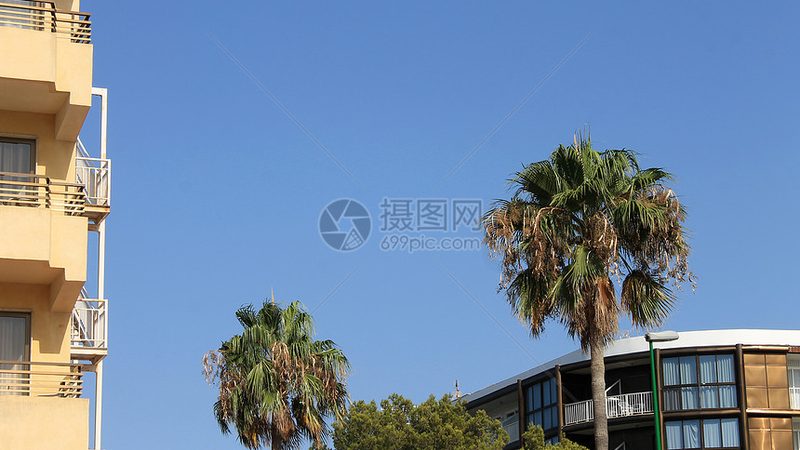 揭秘度假村运营流程：从标准到规范